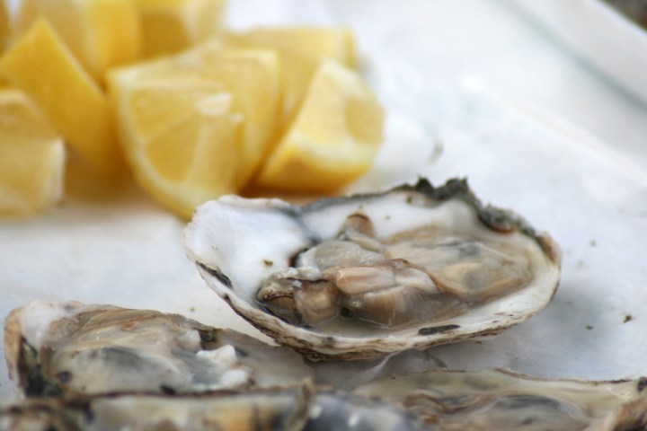 Tanuki Raw Oysters