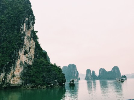 Processed with VSCOcam with c1 preset