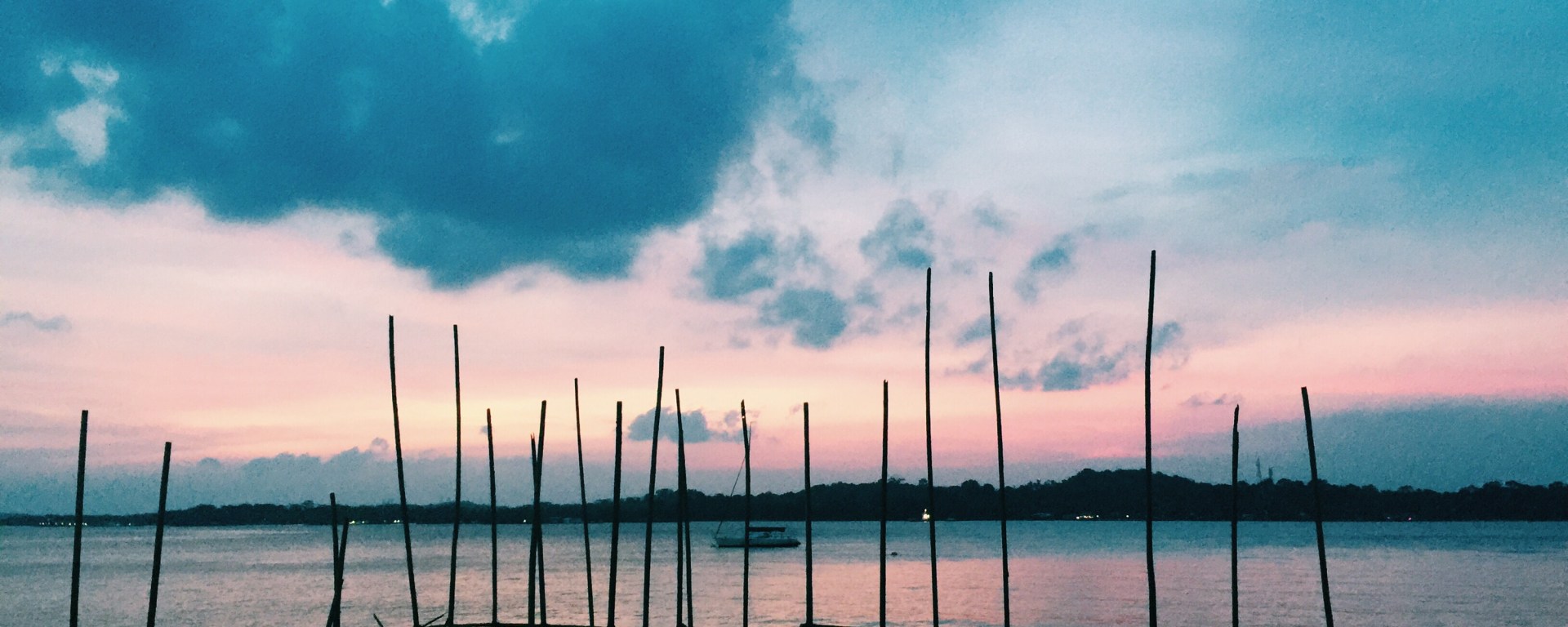 Changi Coastal Boardwalk