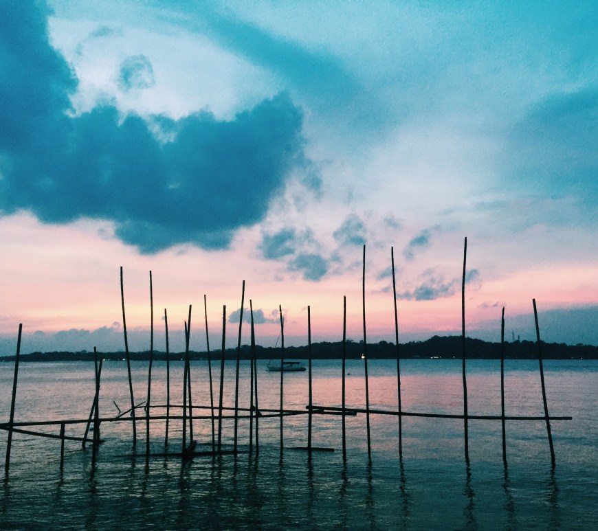 Changi Coastal Boardwalk