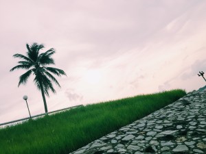 Changi Coastal Boardwalk