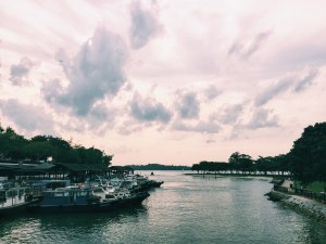 Changi Coastal Boardwalk