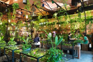 Source: eshop.aoyamaflowermarket.com