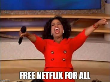 Netflix Meme